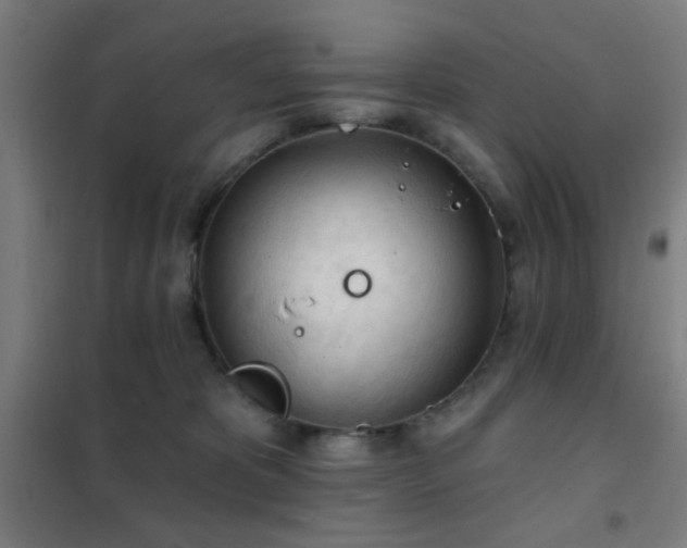 X0000102280325200807251404