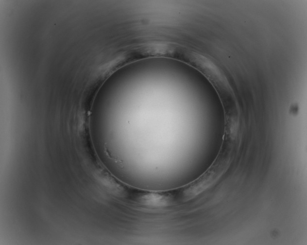 X0000102280326200807251404