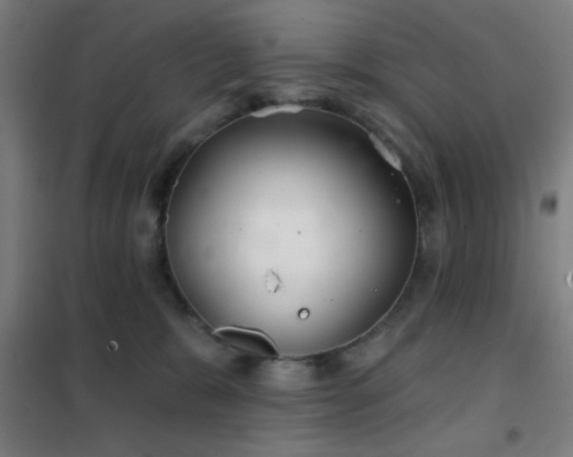 X0000102280327200807251404