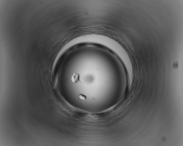 X0000102280328200807251404