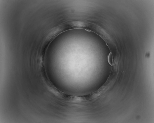 X0000102280330200807251404
