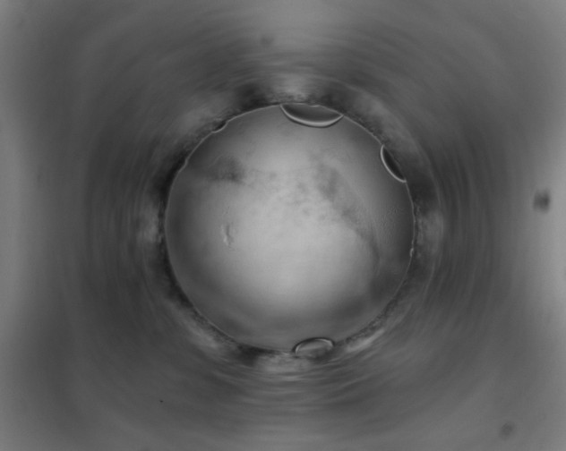X0000102280331200807251404