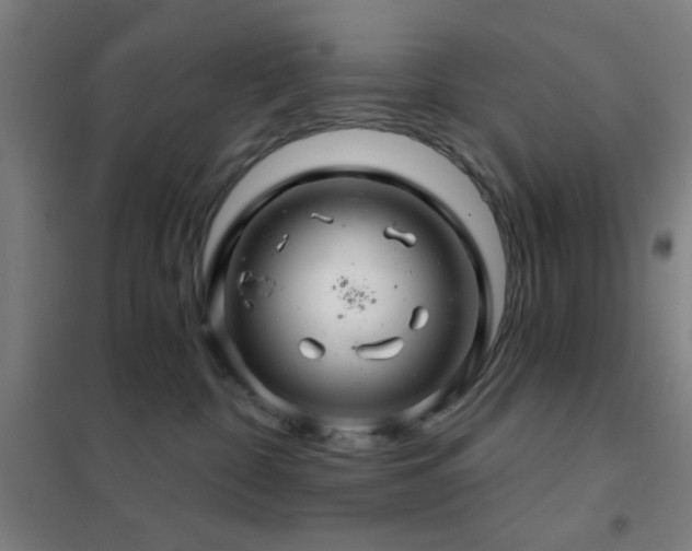 X0000102280332200807251404