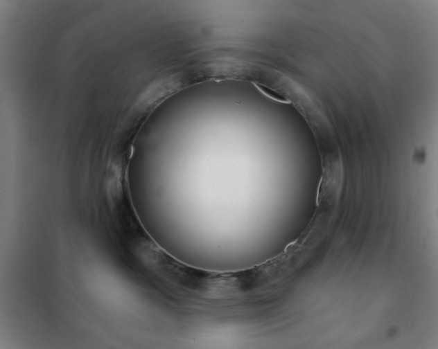 X0000102280333200807251404