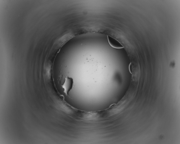 X0000102280334200807251404
