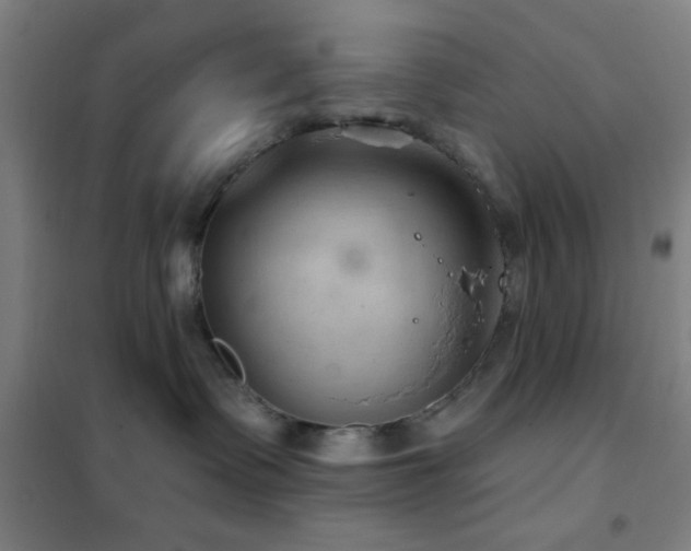 X0000102280335200807251404