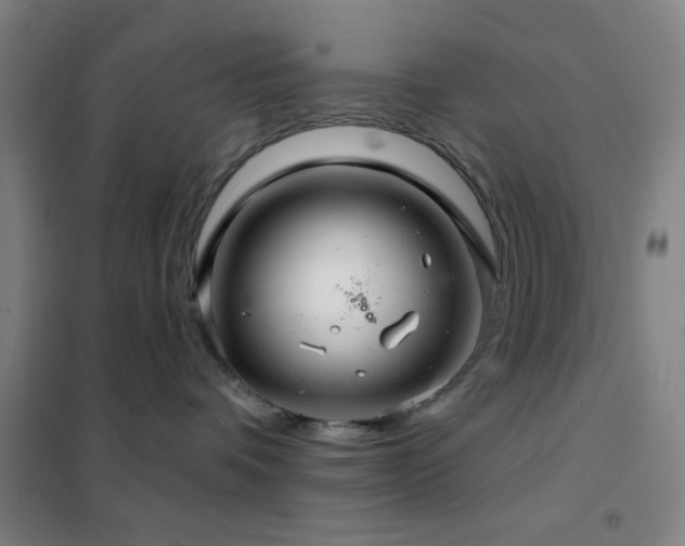 X0000102280336200807251404