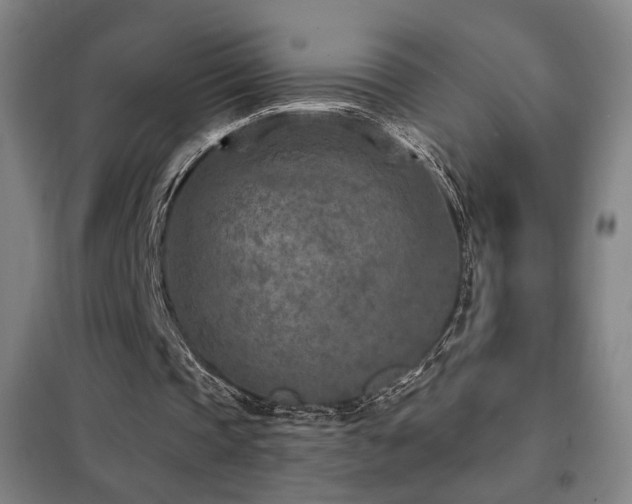 X0000102280337200807251403