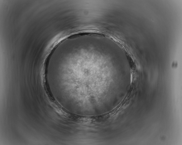 X0000102280339200807251403