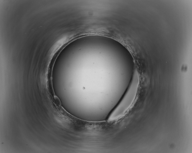 X0000102280340200807251403