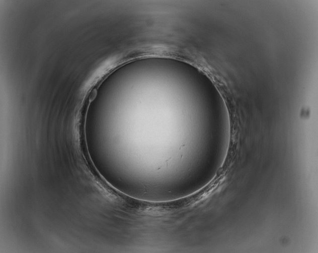 X0000102280341200807251403