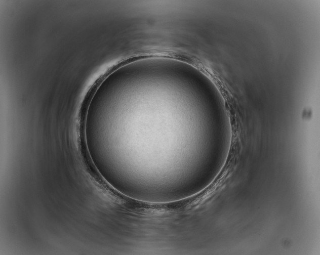 X0000102280342200807251403