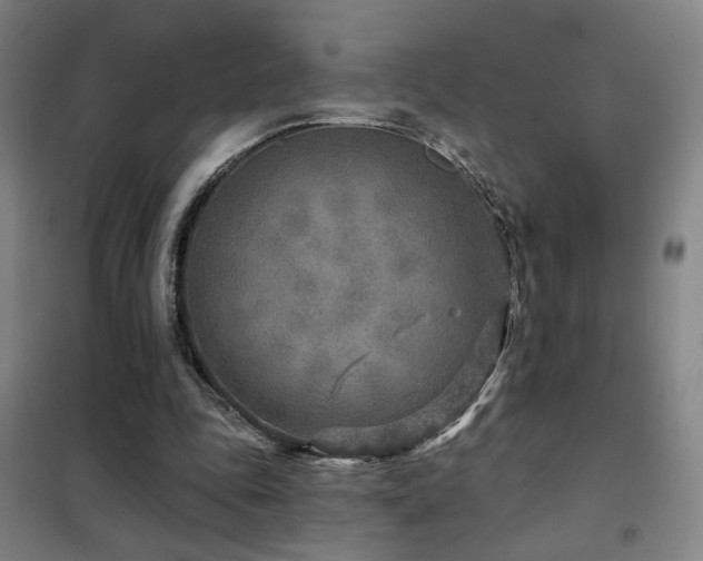 X0000102280343200807251403