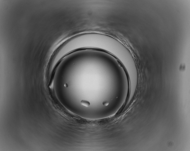 X0000102280344200807251403