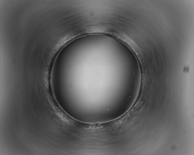 X0000102280345200807251403