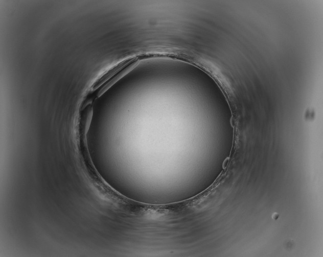 X0000102280346200807251403
