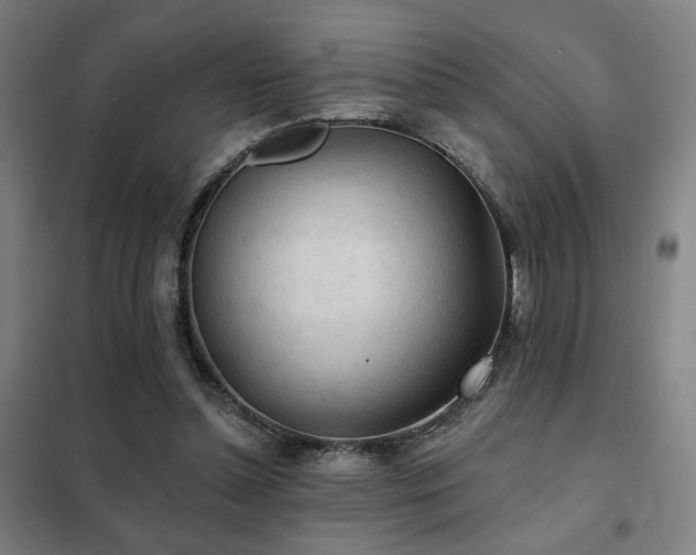 X0000102280348200807251403