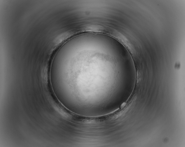 X0000102280349200807251403
