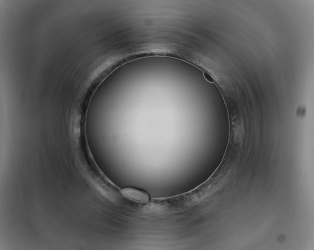 X0000102280350200807251403