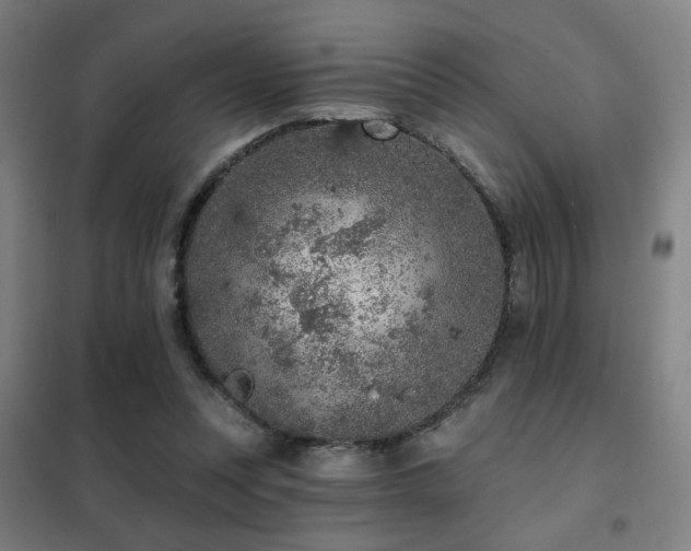 X0000102280351200807251403