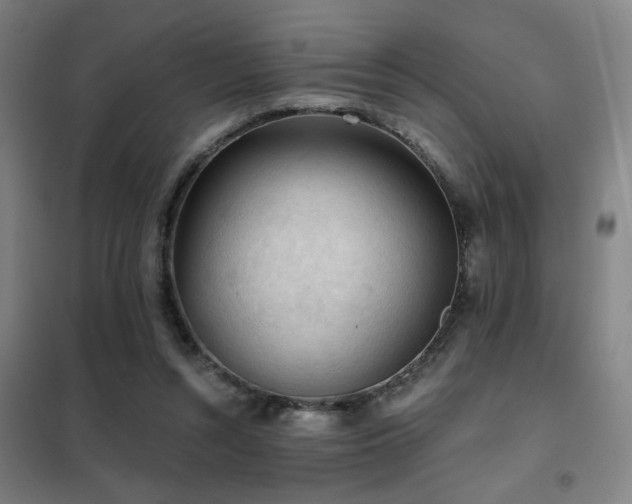 X0000102280352200807251403