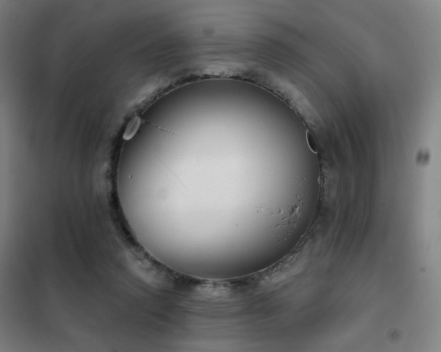 X0000102280354200807251403