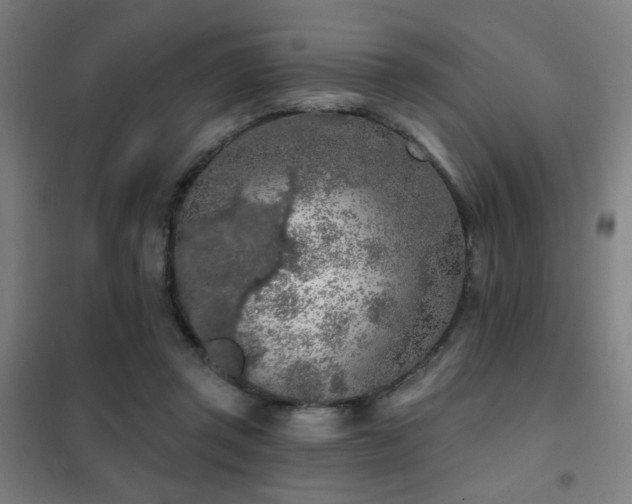 X0000102280357200807251404