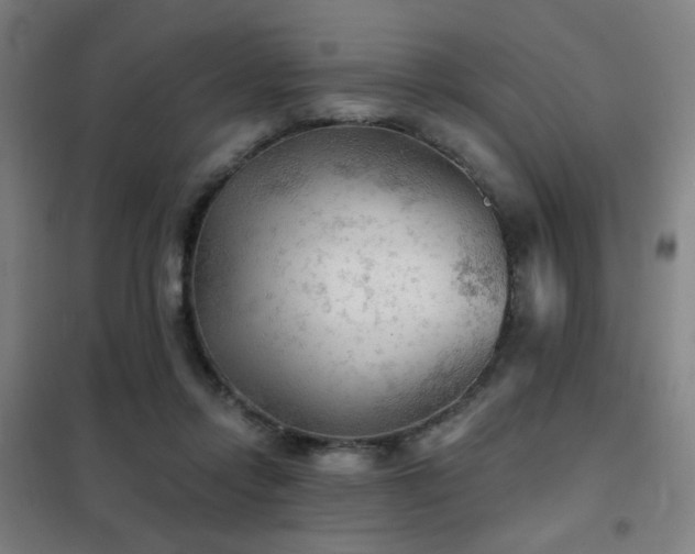 X0000102280358200807251404
