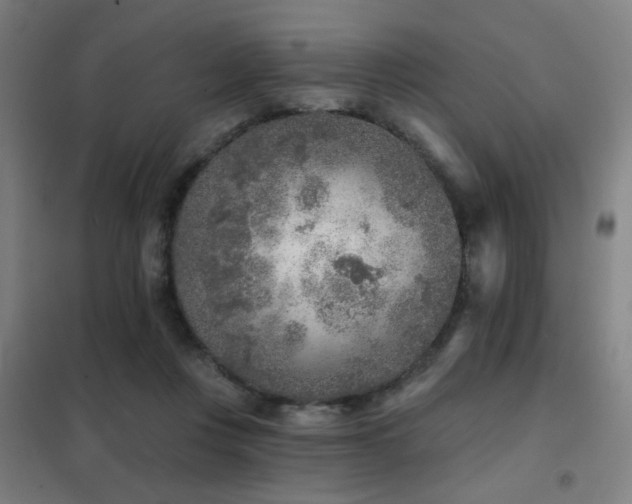 X0000102280359200807251404