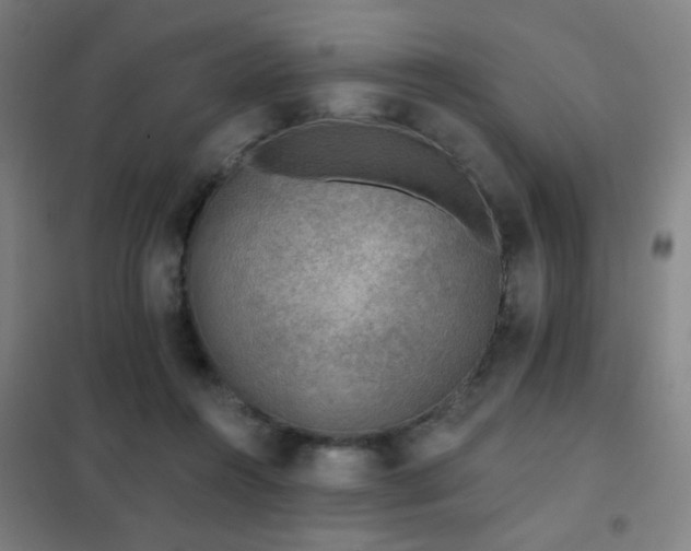 X0000102280360200807251404