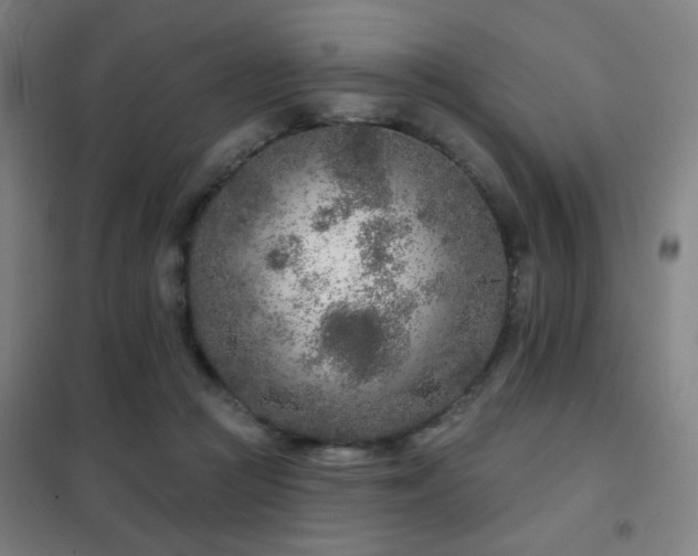 X0000102280361200807251404
