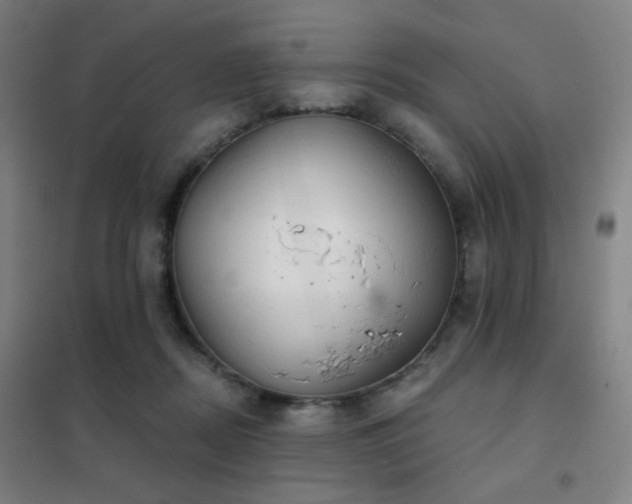 X0000102280362200807251404