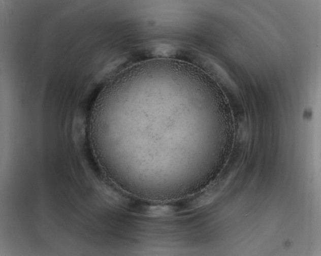 X0000102280363200807251404
