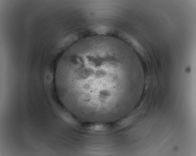 X0000102280365200807251404
