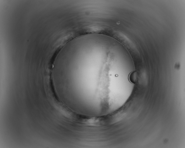 X0000102280366200807251404