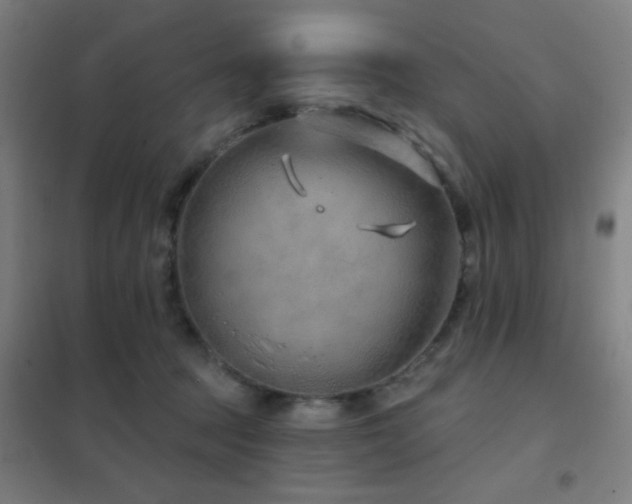 X0000102280369200807251404