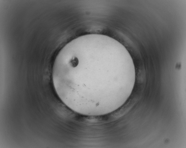 X0000102280370200807251404