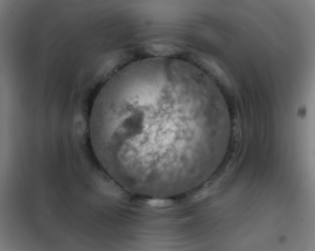 X0000102280371200807251404