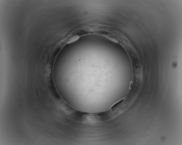 X0000102280372200807251404