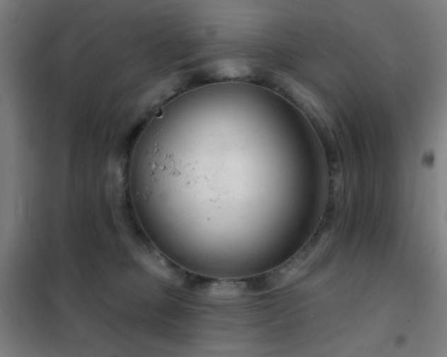 X0000102280373200807251404