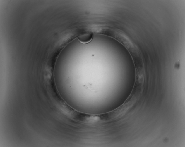 X0000102280374200807251404