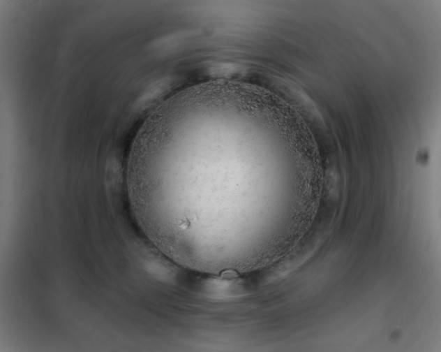 X0000102280375200807251404