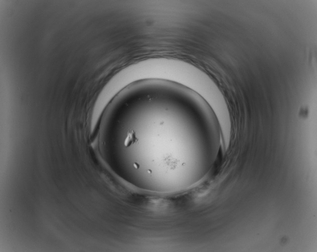 X0000102280376200807251404