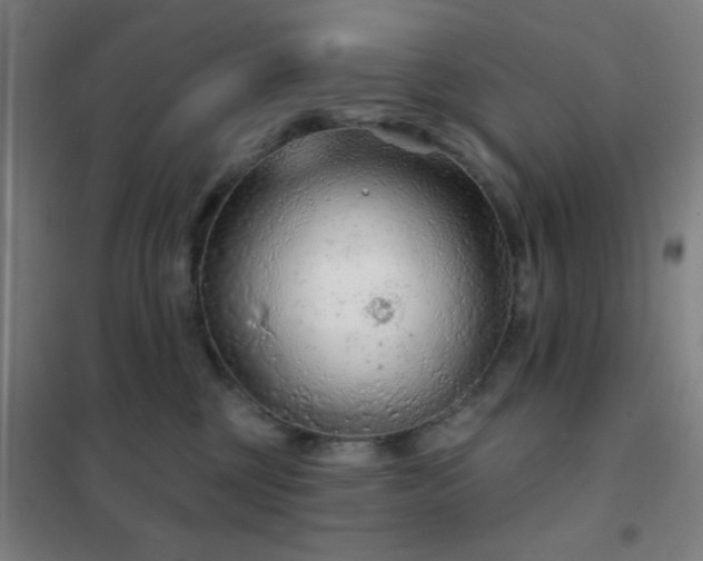X0000102280377200807251404