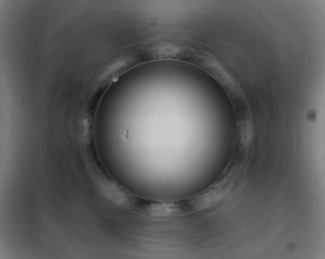 X0000102280378200807251404