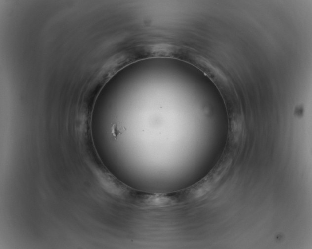 X0000102280379200807251404