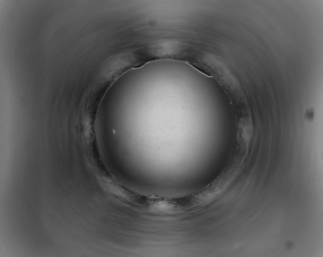 X0000102280380200807251404