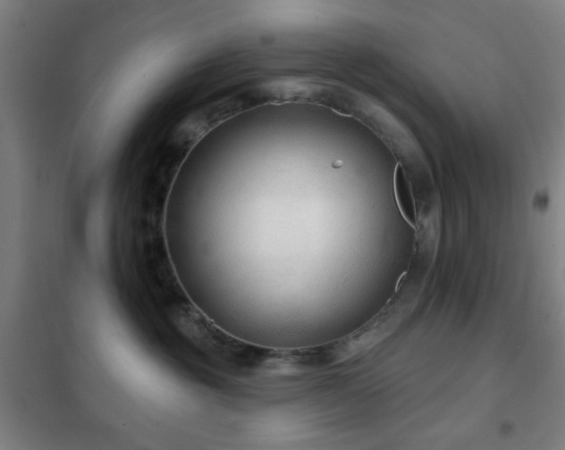 X0000102280381200807251404