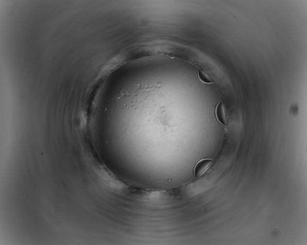 X0000102280382200807251404