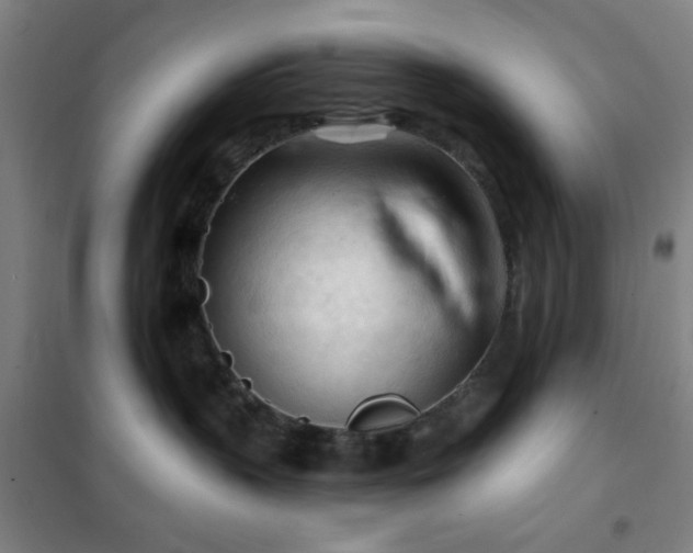 X0000102280383200807251404